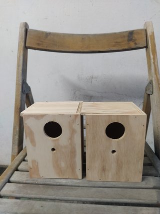 Set 2 nidi x pappagalli cocorite