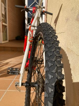 Bicicleta BH CORONAS