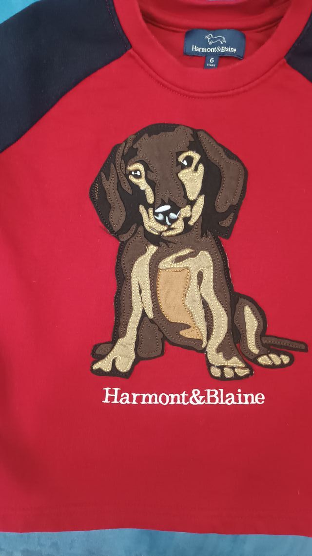 felpa Harmont & Blaine bimbo 6 anni, rossa e blu