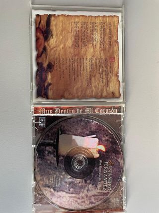 CD Alejandro Fernandez