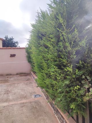 Reformas