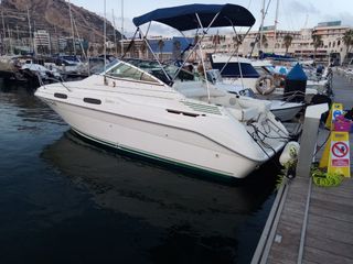 Barco Sea Ray 