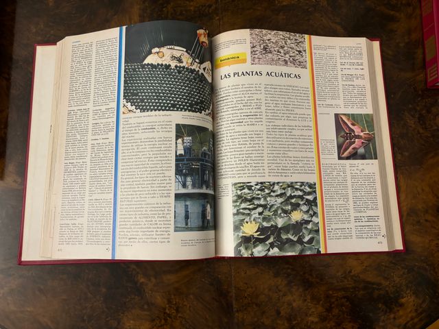 Enciclopedia Alfatematica