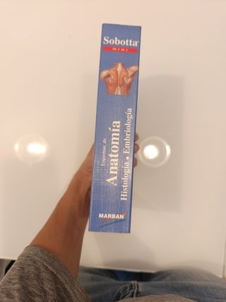 Esquemas de Anatomia - Histologia - Embriologia (Spanish Edition)