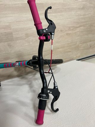 Bicicleta niña
