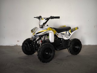 Mini quads para niños nuevos