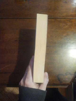 DI Noi Tre (Italian Edition)