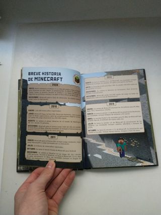 Guía básica (Minecraft 1)