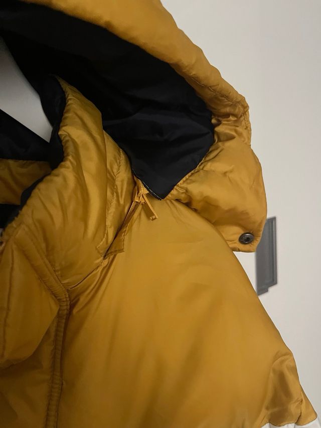 Perfecta cazadora berska en Oferta!!