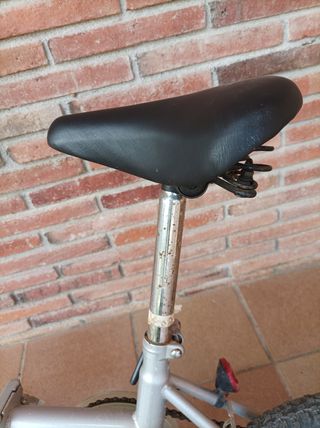 Bicicleta plegable