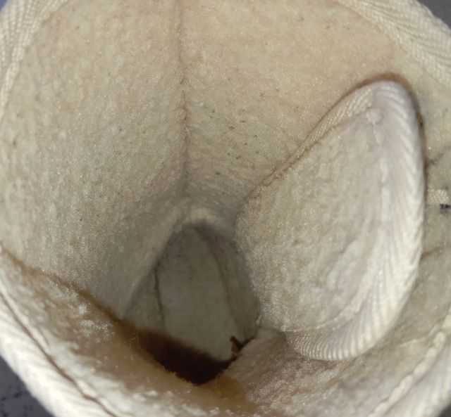 Botas Mustang pantorrilla