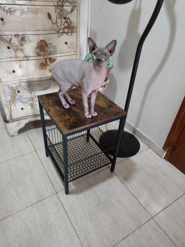 Mesita auxiliar industrial 40x40