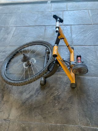 Rodillo bicicleta 