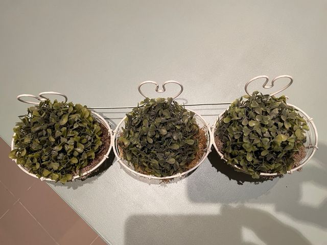 MACETERO COLGANTE CON PLANTAS DECORATIVAS