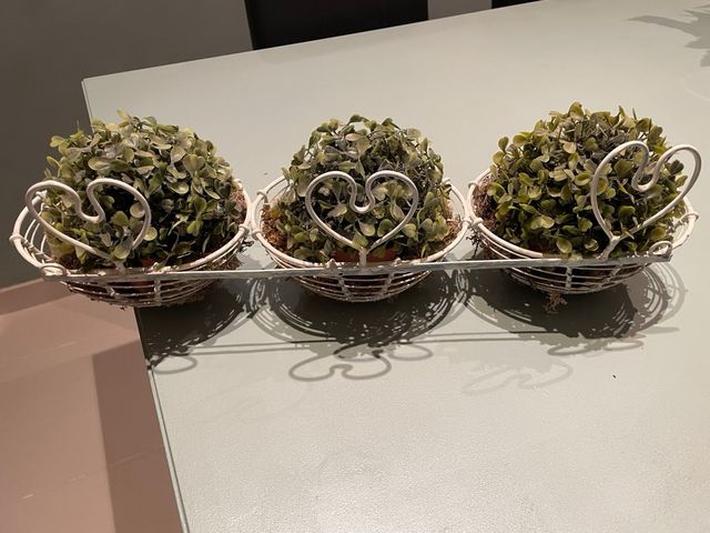 MACETERO COLGANTE CON PLANTAS DECORATIVAS