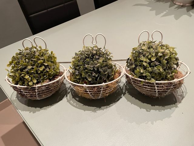 MACETERO COLGANTE CON PLANTAS DECORATIVAS