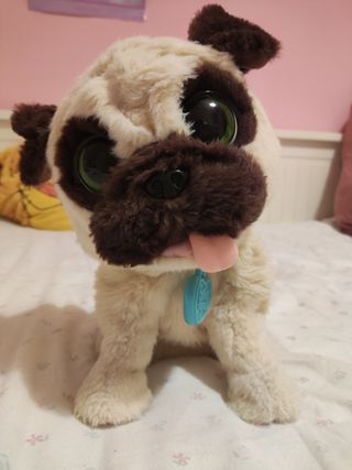 Perrito