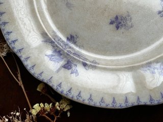 Plato Terre de fer Sarreguemines
