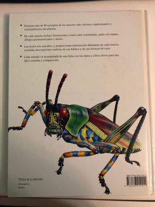 Bichos: Los Insectos más Terroríficos (Spanish Edi