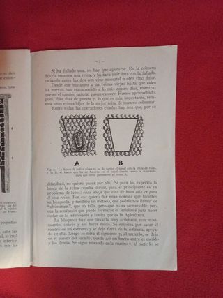 Apicultura.Seleccion de abejas reinas