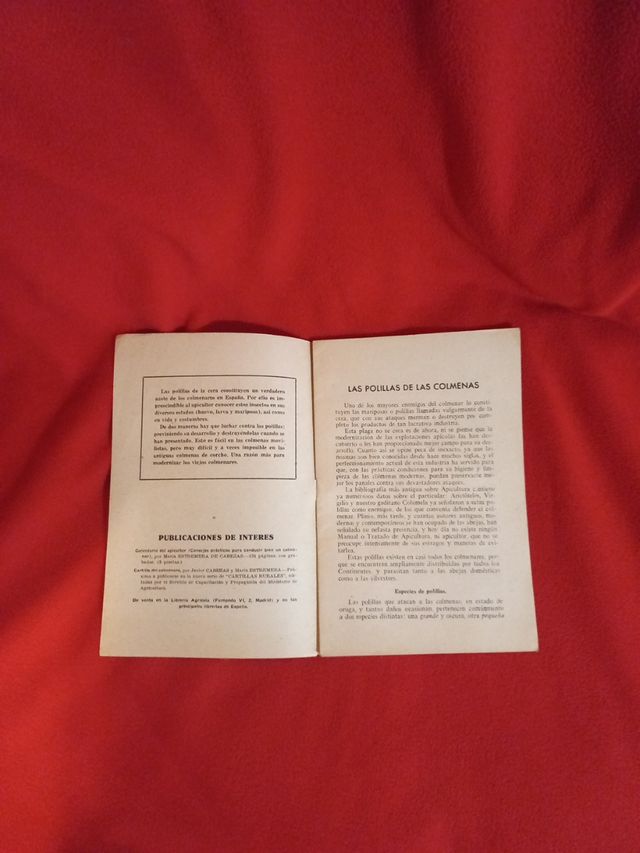 Apicultura.Las polillas de las colmenas