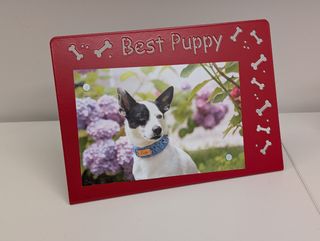 Cornice in ferro magnetica Best Puppy  10x15