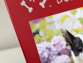 Cornice in ferro magnetica Best Puppy  10x15