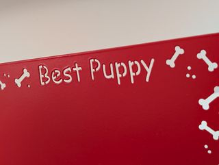 Cornice in ferro magnetica Best Puppy  10x15