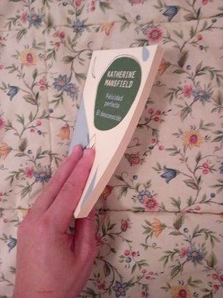 Felicidad Perfecta - El Desconocido (Spanish Edition)