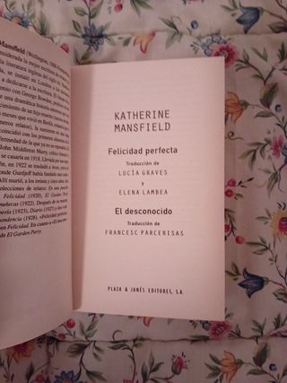 Felicidad Perfecta - El Desconocido (Spanish Edition)