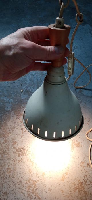 Lampara completa reptiles grandes