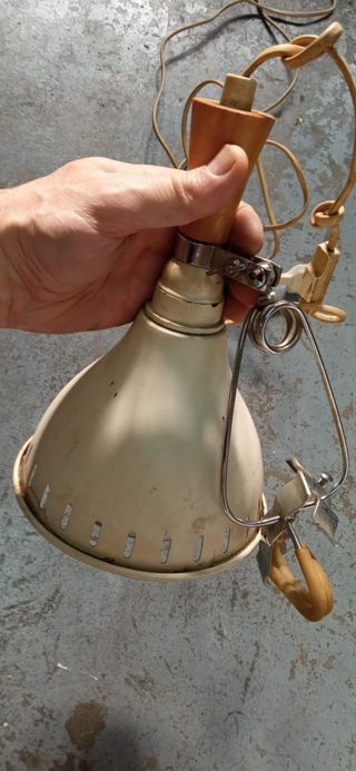 Lampara completa reptiles grandes