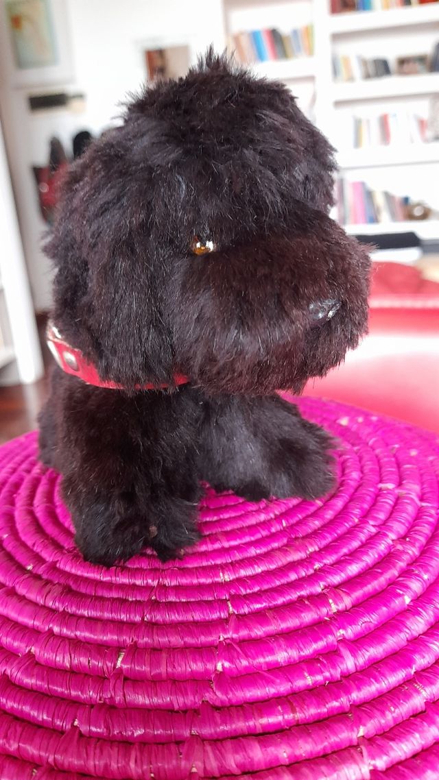 Peluche cane