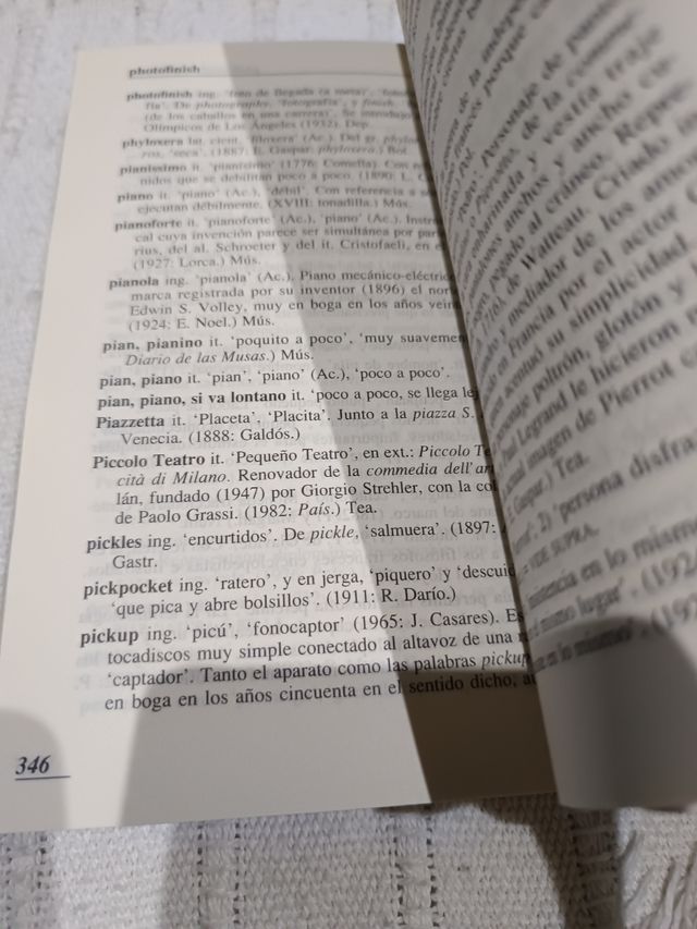 DICCIONARIO DE PALABRAS Y FRASES EXTRANJ [Paperback] DEL HOYO, A.