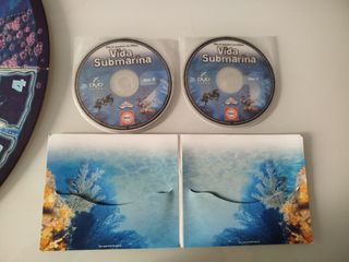 Juego interactivo VIDA SUBMARINA