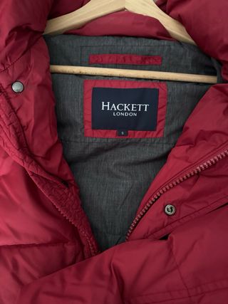 Plumas rojo Hackett