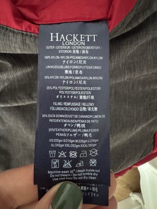Plumas rojo Hackett