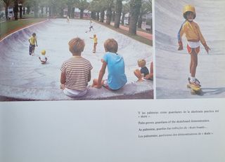 Libro "Punta del Este"