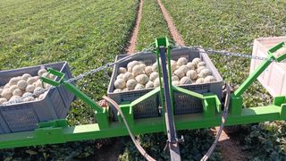 Todo tipo de trabajos del campo