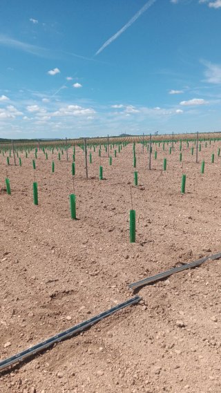 Todo tipo de trabajos del campo