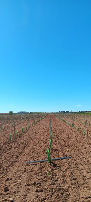 Todo tipo de trabajos del campo