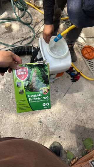 Podas  y jardineria 611394812