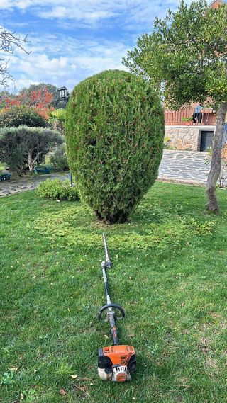 Podas  y jardineria 611394812