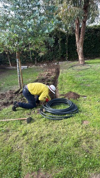 Podas  y jardineria 611394812