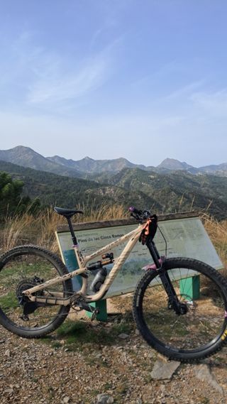 Canyon spectral AL6 2023