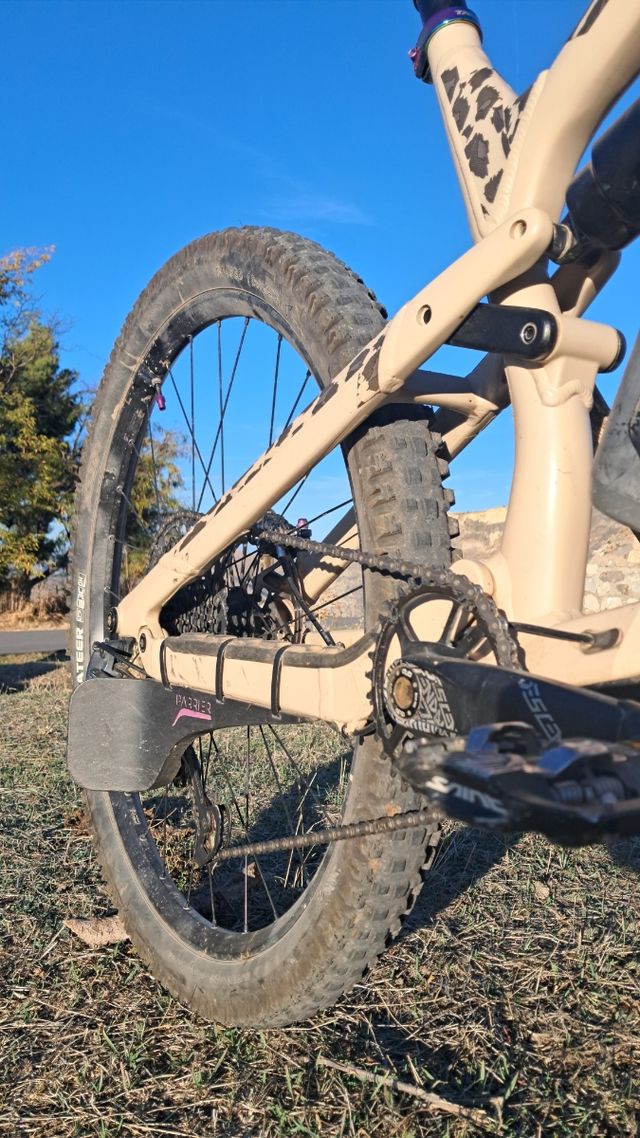 Canyon spectral AL6 2023