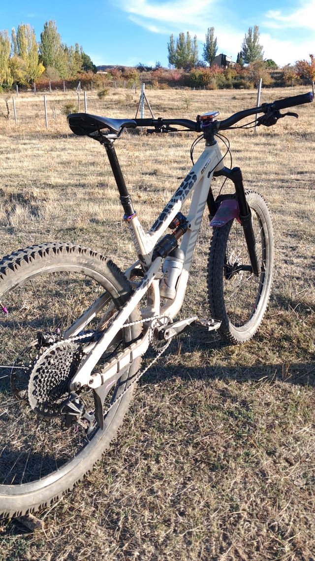 Canyon spectral AL6 2023