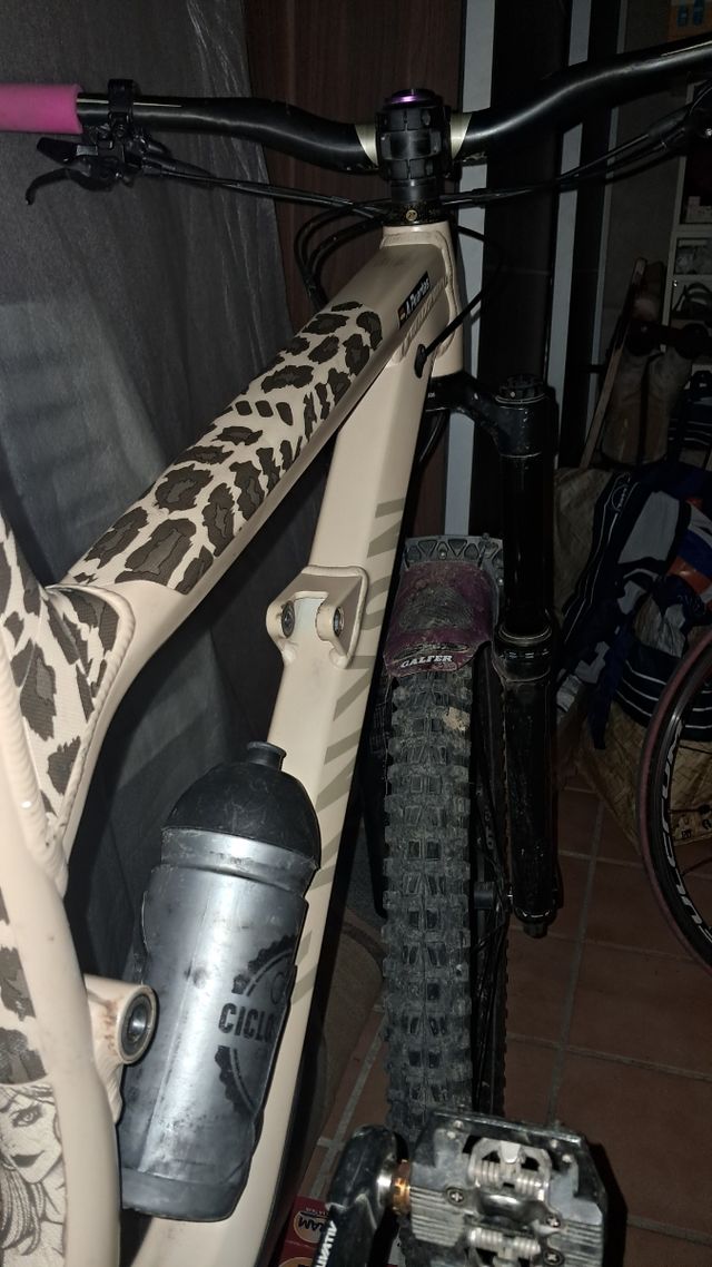 Canyon spectral AL6 2023