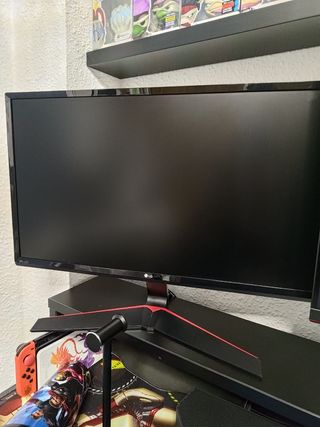 Monitor LG24MP
