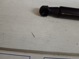 Muelle neumatico, maletero/compartimento de carga